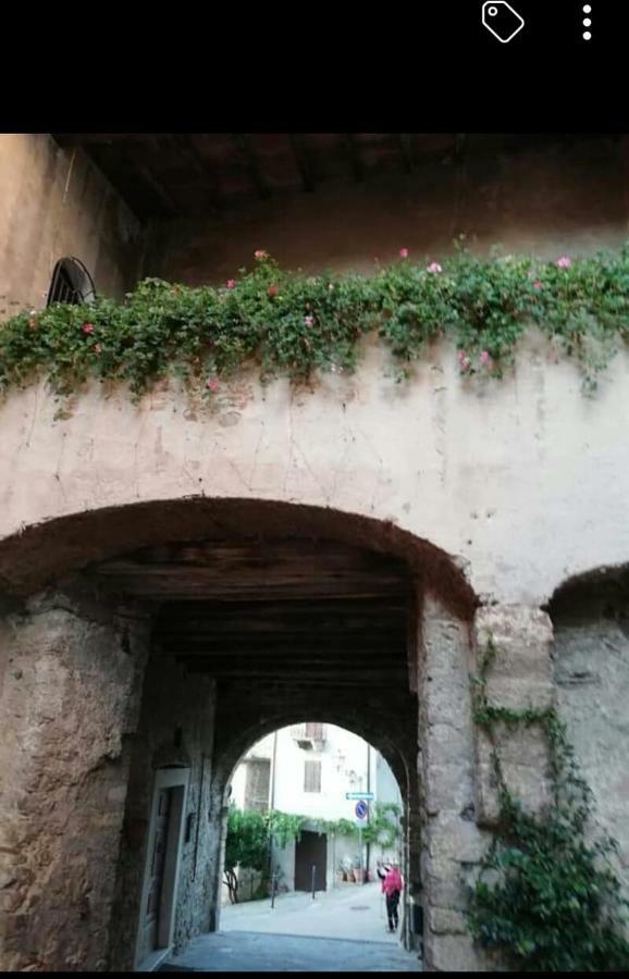 Appartamento Orchidea Montemerano Exteriér fotografie